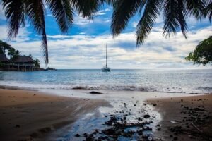 Bahía con palmeras y velero al fondo